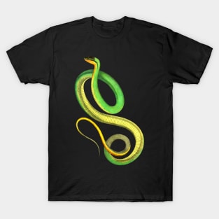 Dramabite Snake Green Yellow Realistic Cute Colorful Animal Ophiology T-Shirt